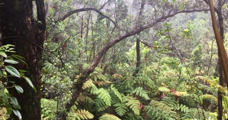 Kona: Big Island Big Volcano Adventure - Experience the Big Island’s Volcanoes and Waterfalls for $228