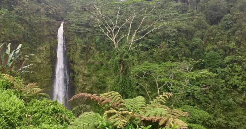 Kona: Big Island Big Volcano Adventure - Entering Hawaii Volcanoes National Park to See Kilauea