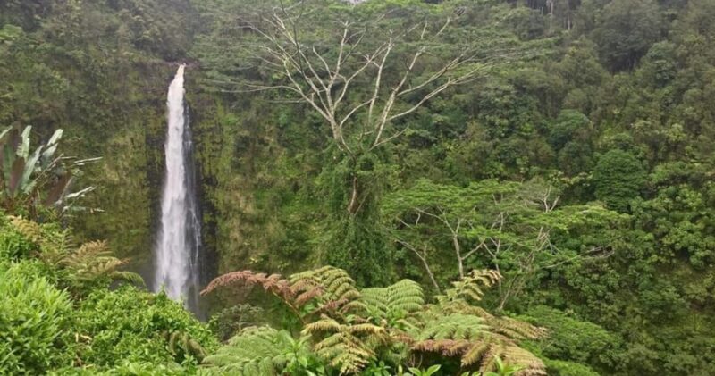 Kona: Big Island Big Volcano Adventure - Practical Details and What to Expect