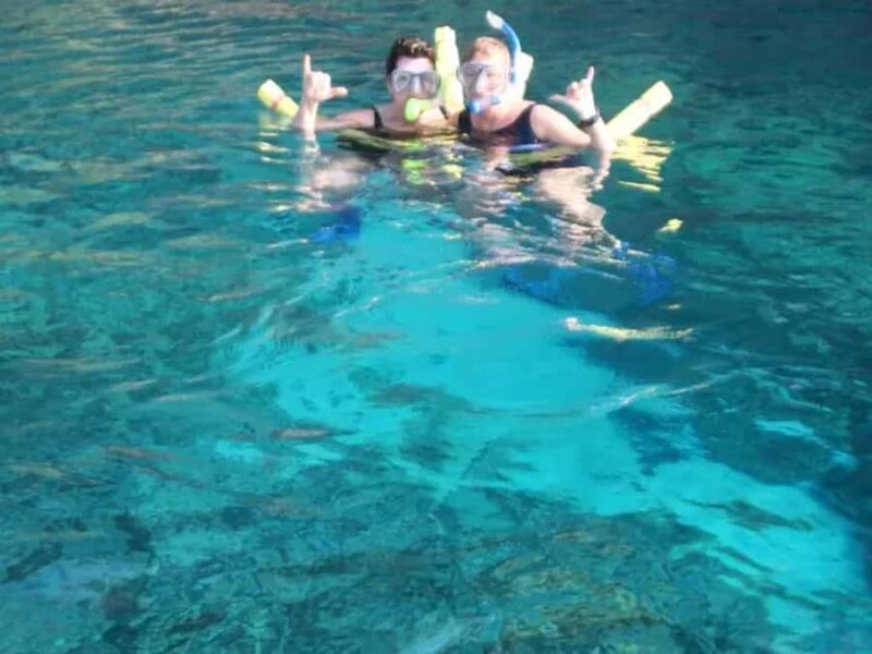 Kona: Captain Cook Snorkel Tour - Key Points