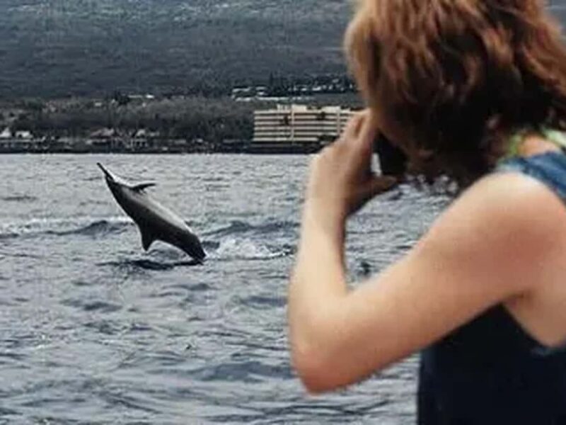 Kona: Captain Cook Snorkel Tour - Physical Requirements and Accessibility