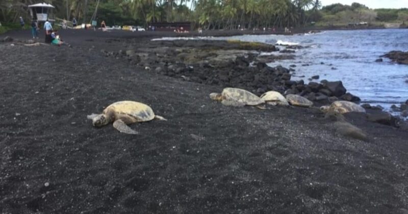 Kona: Choose Your Own Adventure - Key Points