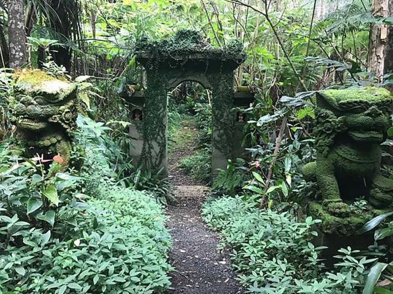 Kona: Cloud Forest, Coffee Farm, and Turtle Beach Tour - Flexibility with Booking and Cancellation Policies