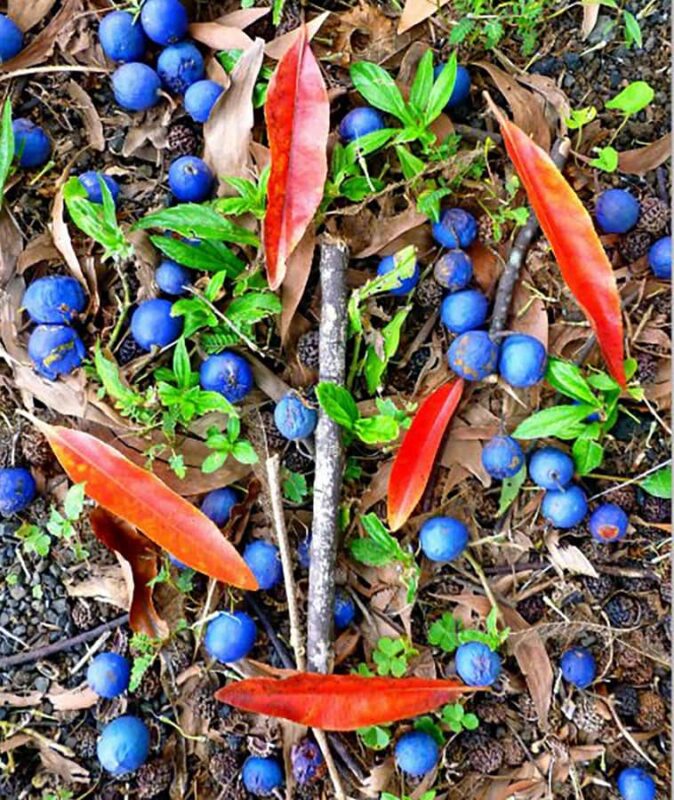 Kona: Cloud Forest, Coffee Farm, and Turtle Beach Tour - Who Will Enjoy This Tour the Most?