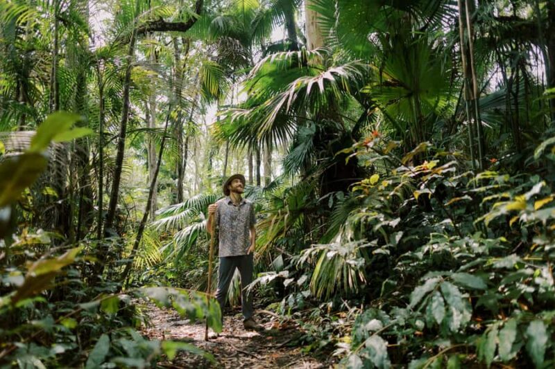 Kona: Cloud Forest, Coffee Farm, and Turtle Beach Tour - Kona Cloud Forest, Coffee Farm, and Turtle Beach Tour: An In-Depth Look