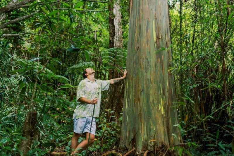 Kona Cloud Forest Sanctuary Montane Jungle Tour (2.5 hrs) - Kona Cloud Forest Sanctuary: Hawaii’s Only Tropical Montane Cloud Forest