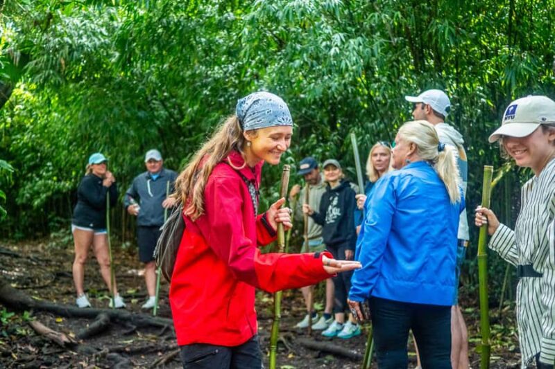 Kona Cloud Forest Sanctuary Montane Jungle Tour (2.5 hrs) - The Sum Up: A Quiet Sanctuary of Hawaii’s Unique Ecosystem
