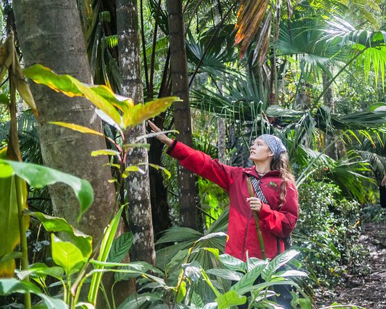 Kona Cloud Forest Sanctuary Pantropical Tour (1.5 hrs) - Location and Meeting Details at Kona Cloud Forest Sanctuary