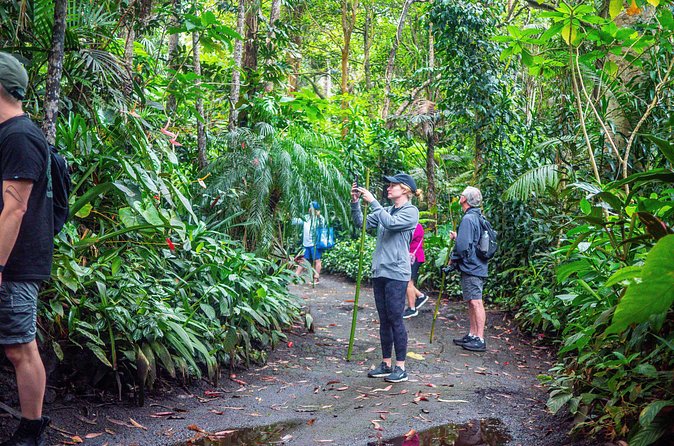 Kona Cloud Forest Sanctuary Pantropical Tour (1.5 hrs) - The Unique Experience of Exploring in the Rain