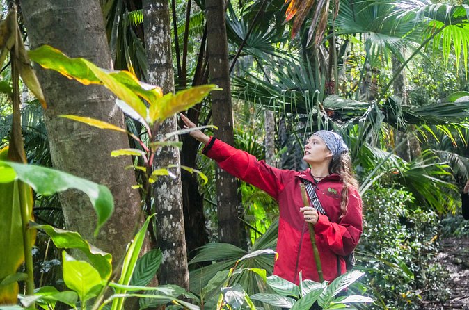 Kona Cloud Forest Sanctuary Pantropical Tour (1.5 hrs) - Comparing this Tour to Other Big Island Activities