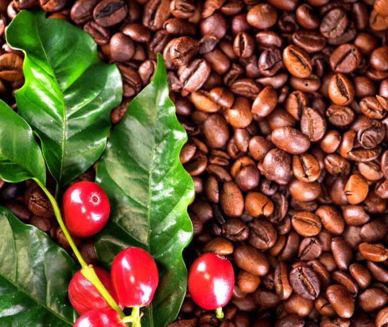 Kona: Coffee and Sea Turtles Tour - Discover Kona: Coffee, Sea Turtles, and Historic Sites in 5 Hours