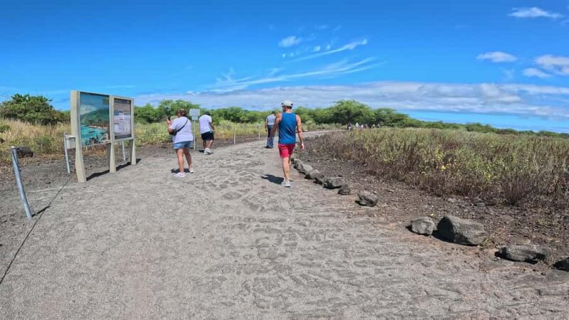 Kona: Coffee and Sea Turtles Tour - Practical Tips and Accessibility Details