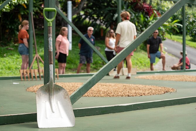 Kona Coffee Farm Tour - Expert Guides Bring Coffee’s Lifecycle to Life