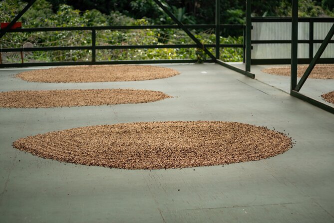 Kona Coffee Farm Tour - Logistics and Accessibility