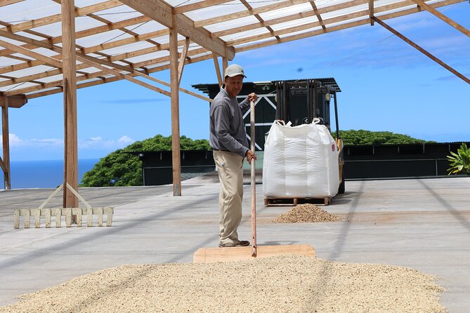 Kona Coffee Farm Tour from Tree to Tasting Room - Exploring Kona Coffee at Bay View Farm