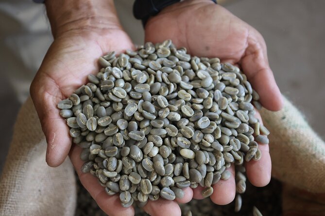 Kona Coffee Farm Tour from Tree to Tasting Room - Tasting the Fruits of the Farm
