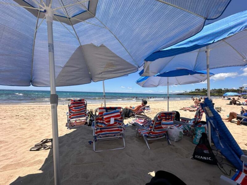 Kona: Cruise Ship Beach Excursion with Tastings - Sampling Macadamia Nuts at Hmukua Company