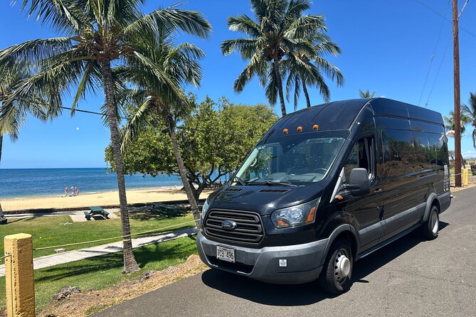Kona Cruise Ship Excursion Hapuna Beach Day, Petroglyphs & NHS - The Starting Point at Kailua Pier