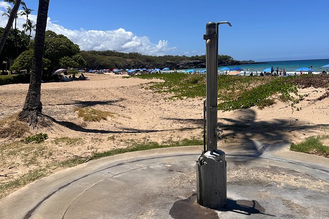 Kona Cruise Ship Excursion Hapuna Beach Day, Petroglyphs & NHS - All-Inclusive Comfort and Convenience