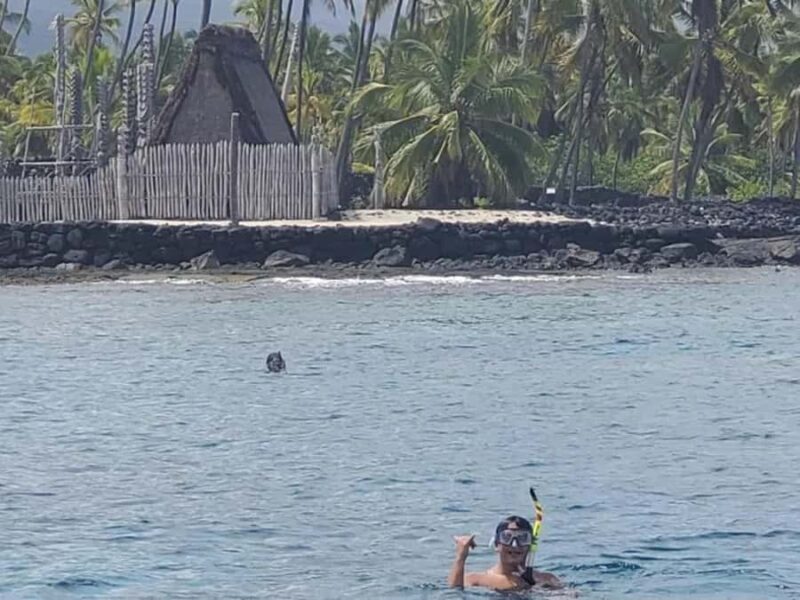 Kona: Deluxe Snorkel Adventure with 2 Snorkeling Spots - Wildlife Effects and Seasonal Highlights