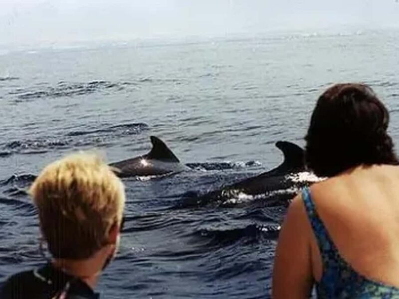 Kona: Deluxe Snorkel Adventure with 2 Snorkeling Spots - What to Bring and What Not to Bring