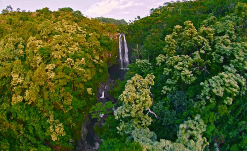 Kona: Flight of Aloha Aerial Journey Experience - Practical Details: How To Attend and What to Know