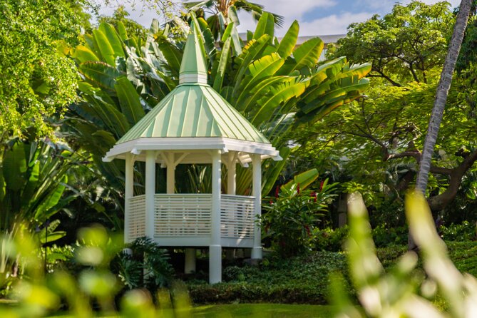 Kona Hawaii Photographer 25 minute session at Outrigger Resort - What’s Included and What’s Not