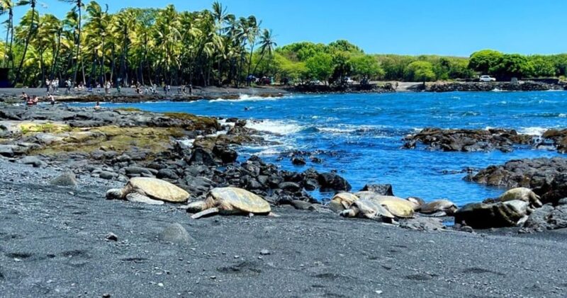 Kona: Kilauea Summit to Shore - Exploring Lava Tubes at Kaumana Caves
