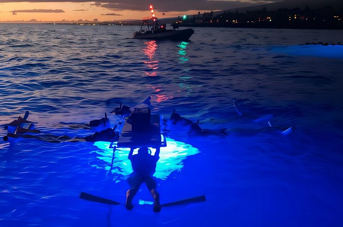 Kona Manta Night Snorkel Adventure: Swim with Majestic Rays - The Experience’s Intimate Atmosphere