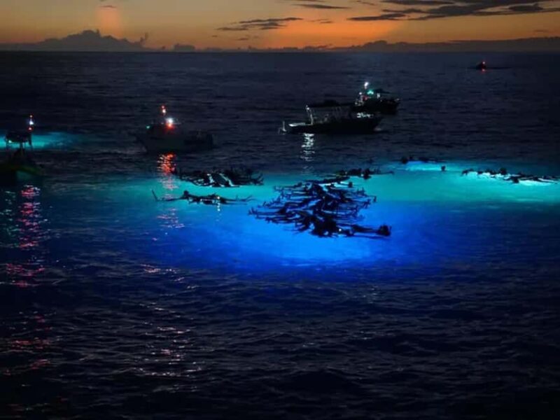 Kona: Manta Ray Night Snorkel Adventure - Kona’s Nighttime Manta Ray Encounter Starts at Keauhou Shopping Center