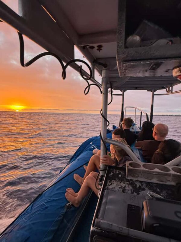 Kona: Manta Ray Night Snorkel - Equipment and Comfort for Beginners