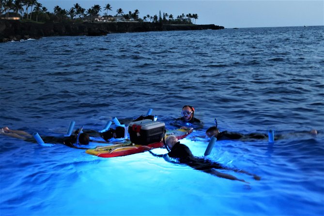 Kona Manta Rays Guaranteed Night Snorkel in Keauhou Harbor - Why This Tour Is a Top Choice on the Big Island