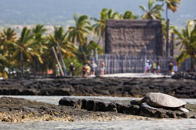 Kona Tour: Bee Farm, Kona Coffee, and National Historical Parks - The Guided Narrative and Personal Touch of the Tour