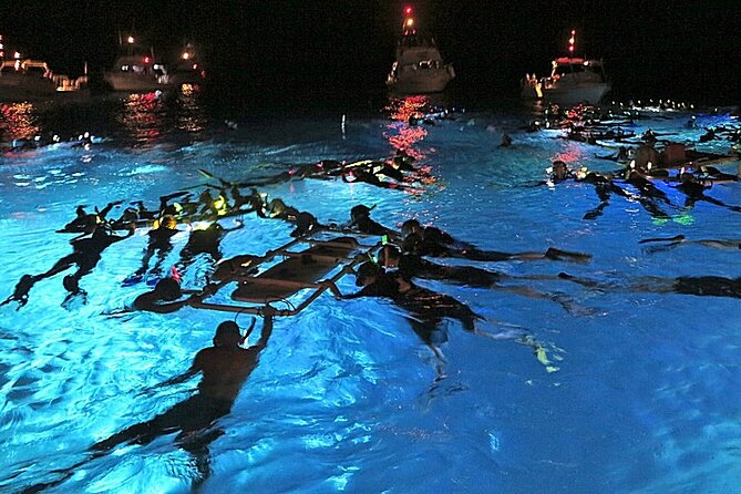 Kona's Magical Manta Ray Night Snorkel: Small-Group Eco-Tour - Key Points