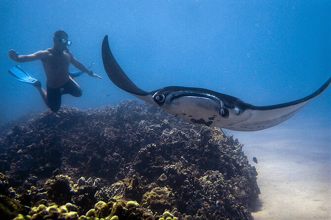 Kona's Magical Manta Ray Night Snorkel: Small-Group Eco-Tour - Physical Requirements and Accessibility