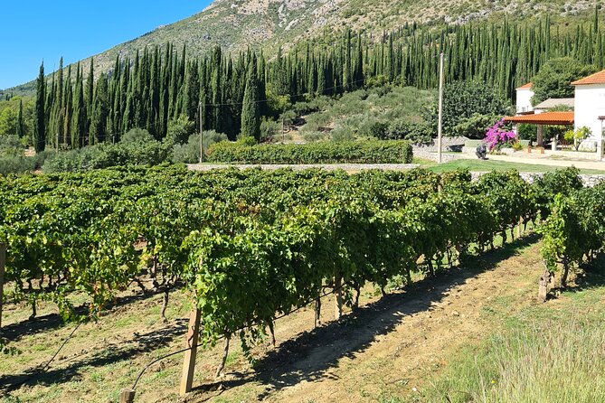 Konavle Gastro & Culture Tour (Small Group) - Exploring the Pridvorje Franciscan Monastery and Archaeological Museum