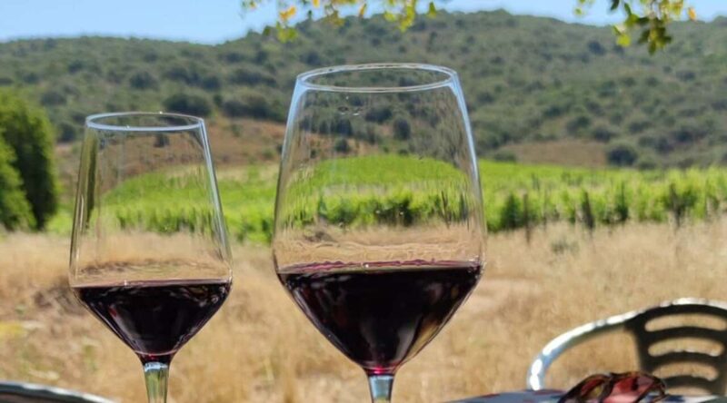 Konavle Private Countryside Experience with Wine & Spirits - Tasting Local Wines and Rakija at Family-Owned Farms