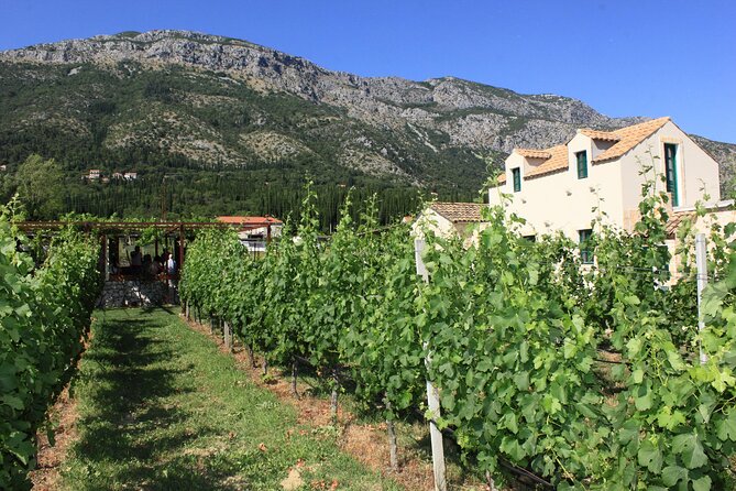 Konavle Region Shared Tour from Cavtat - Key Points