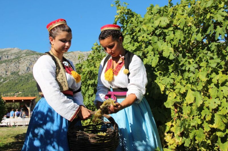 Konavle Valley: Private Half-Day Tour with Wine Tasting - Key Points
