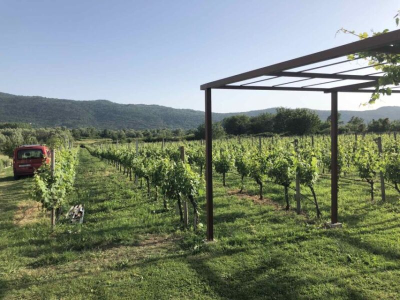 Konavle Valley: Private Half-Day Tour with Wine Tasting - Optional Stops and Personalization Opportunities