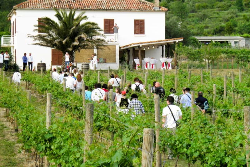 Konavle Valley: Tour with Wine Tasting from Dubrovnik - Experience the Charm of Konavle Valley with a Scenic Tour and Wine Tasting