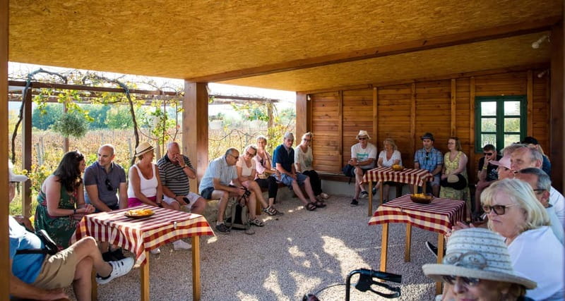 Konavle Valley: Tour with Wine Tasting from Dubrovnik - Tasting the Ploughman’s Lunch: A Croatian Farmhouse Favorite