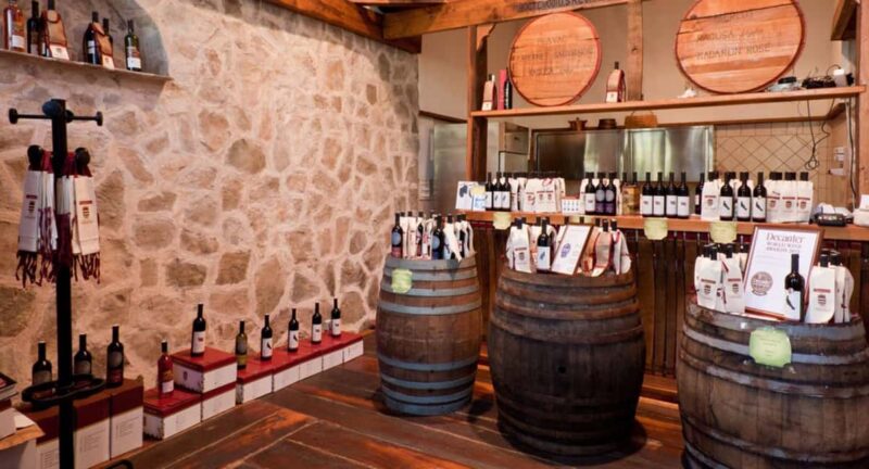 Konavle Valley: Wine tasting at Dubrovnik Cellars - Key Points