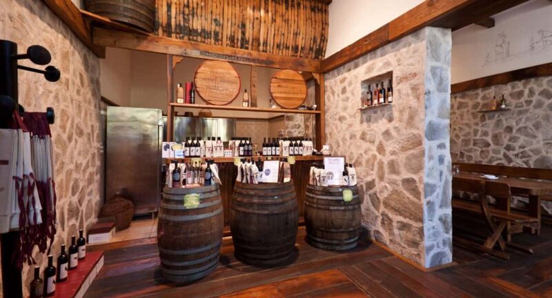 Konavle Valley: Wine tasting at Dubrovnik Cellars - Visiting Dubrovnik Cellars: The Leading Konavle Vineyard