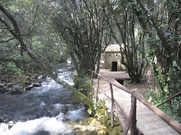 Konavle Valley Wine Tour from Dubrovnik with Train Ride and Wine Tasting - Tasting Croatian Wines: Reds, Whites, and Desserts