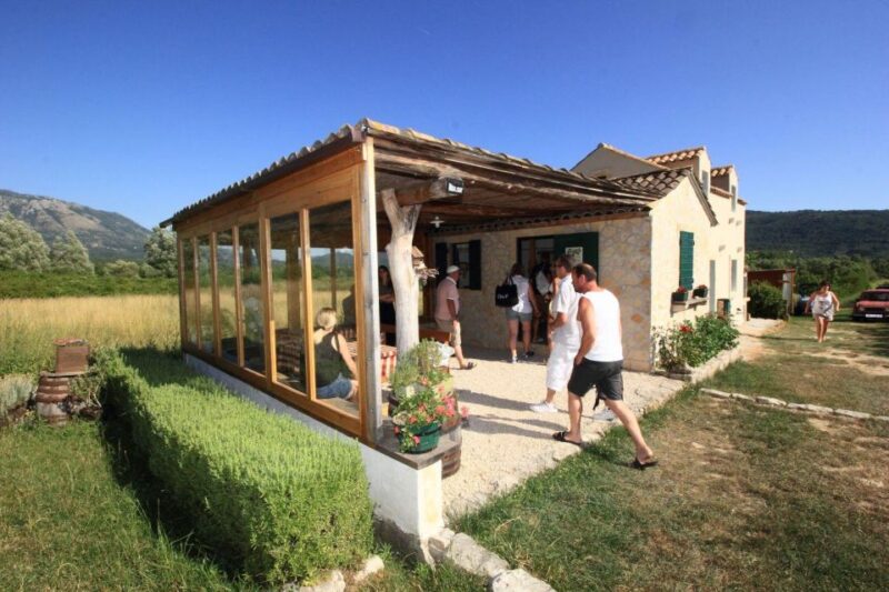 Konavle wine tasting tour from Dubrovnik with 2 vinery's - Practical Details and Logistics