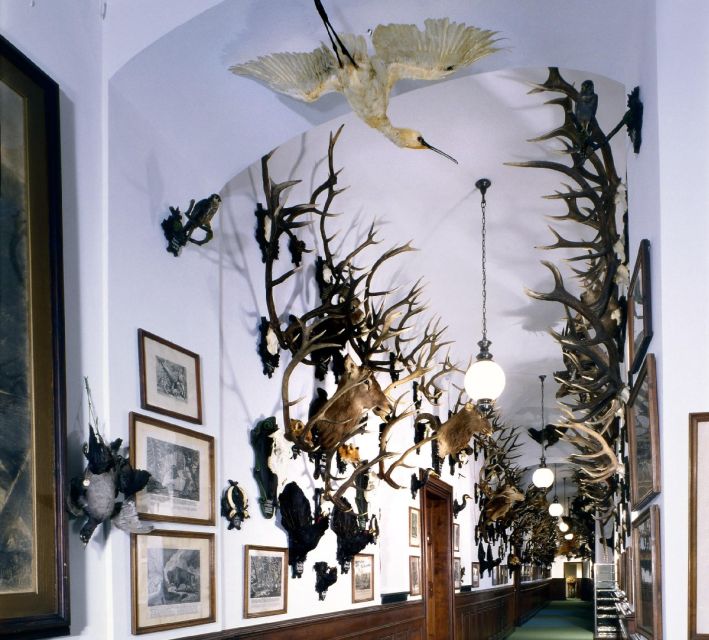 Konopit: Chateau Tour from Prague - Learning About Archduke Franz Ferdinand