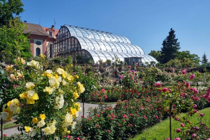 Konstanz: Mainau Island Entry Ticket - Logistics: Meeting, Accessibility, and Practical Tips
