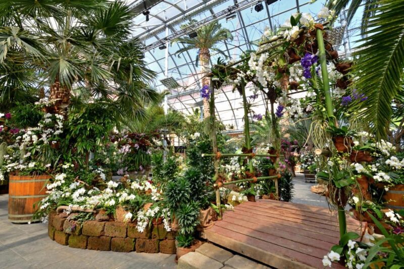 Konstanz: Mainau Island Entry Ticket - Flexibility with Reserve & Pay Later and Cancellation Policies