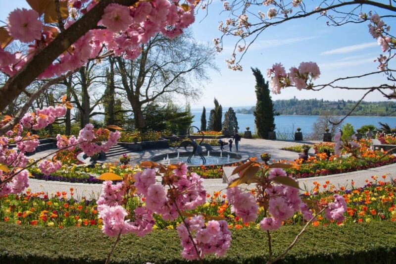 Konstanz: Mainau Island Entry Ticket - Overall Value and Suitability